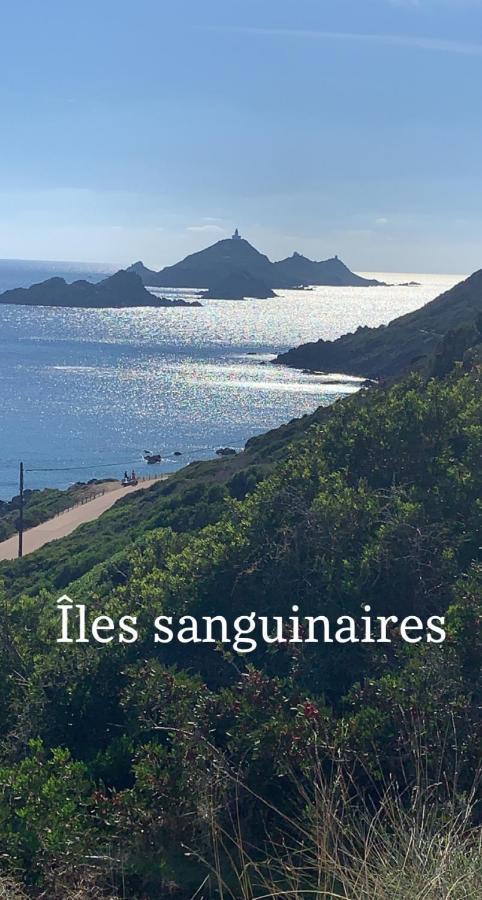 Magnifique Appartement Vue Mer, Spacieux Et Traversant Ajaccio  Exterior foto
